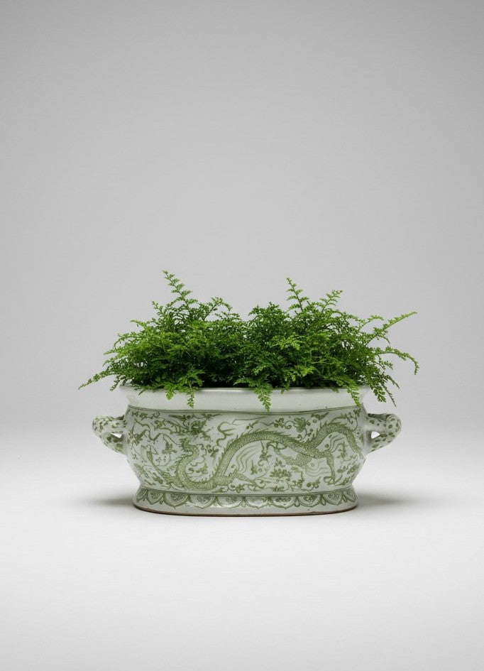 Blomsterpotte - Hvit og Grønn Drage Jardinière