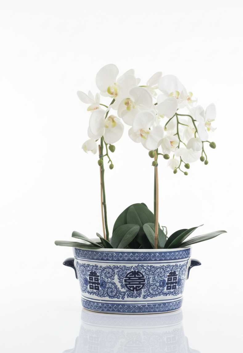 Blomsterpotter - Hvit og Blå Jardinière